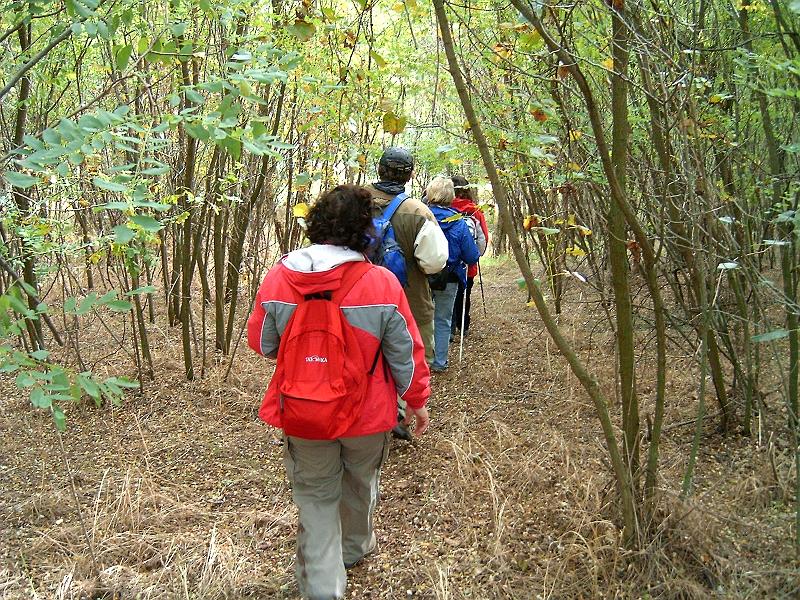 2010.10.10. 035.jpg